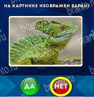 Да или Нет решения Уровень 5502