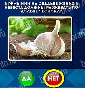 Да или Нет игра ответы Уровень 5513