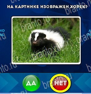 Да или Нет игра помощь Уровень 5515