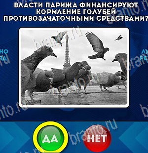 Игра Да или Нет ответы Уровень 5517