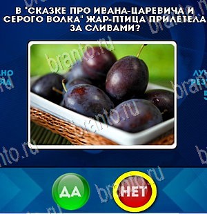 Да или Нет решения Уровень 5532