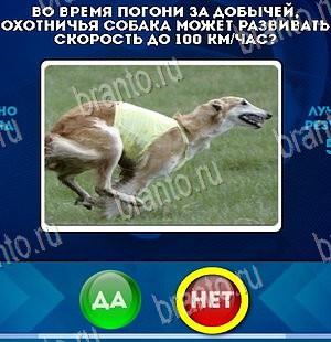 Да или Нет игра помощь Уровень 5535
