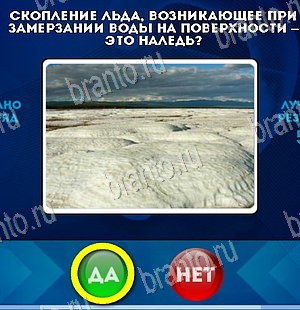 игра Да или Нет помощь Уровень 5539