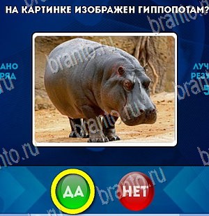 Да или Нет игра подсказки Уровень 5544