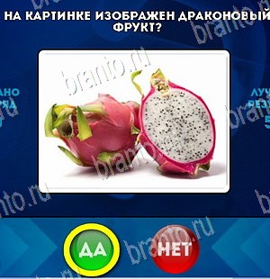 игра Да или Нет помощь Уровень 5549