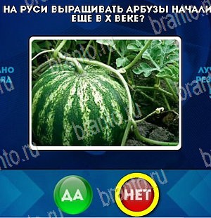 ответы на игру Да или Нет в одноклассниках Уровень 5551