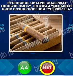 Да или Нет игра ответы в одноклассниках Уровень 5557