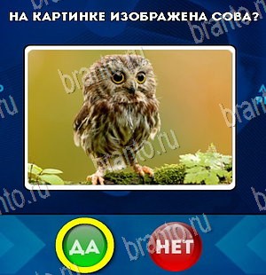 Одноклассники Да или Нет ответы Уровень 5558