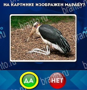 Да или Нет решения Уровень 5562