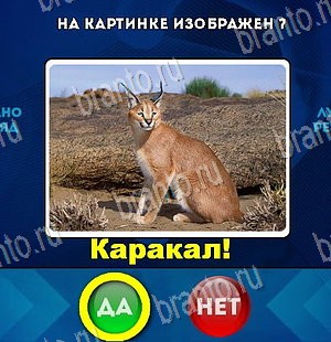 игра Да или Нет помощь Уровень 5569