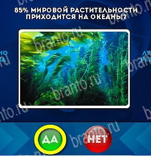 решебник на игру Да или Нет Уровень 5571
