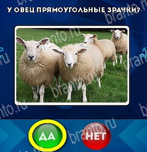 Да или Нет ответы в картинках Уровень 5576