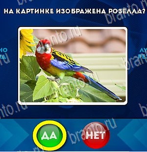 игра Да или Нет ответ на Уровень 5580
