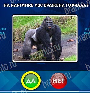 ответы на игру Да или Нет в одноклассниках Уровень 5581