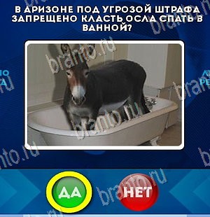 Подсказки на игру Да или Нет Уровень 5582