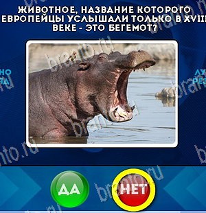 ответы к игре Да или Нет Уровень 5585