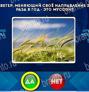 игра Да или Нет ответ на Уровень 5590