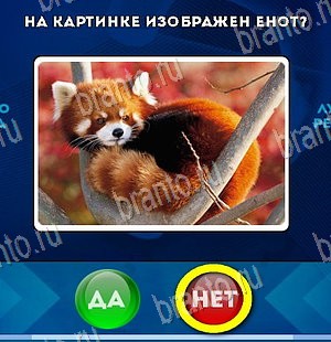 Да или Нет игра ответы Уровень 5593