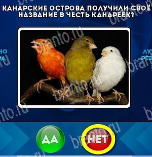 Да или Нет ответы в картинках Уровень 5596