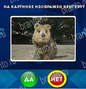 Да или Нет решения Уровень 5602