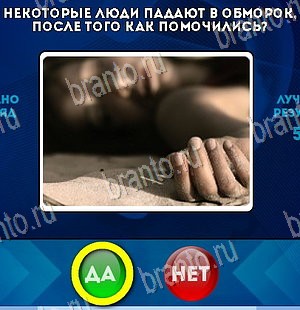 игра Да или Нет ответ на Уровень 5610