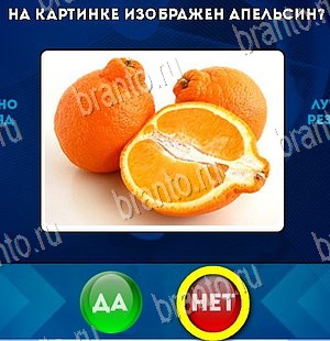 Подсказки на игру Да или Нет Уровень 5612