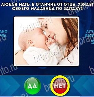 ответы к игре Да или Нет Уровень 5615