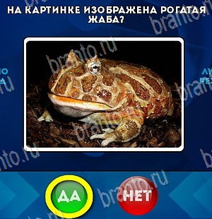 Да или Нет ответы в картинках Уровень 5626