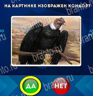 Да или Нет игра помощь Уровень 5635