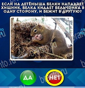 Помощь на игру ВК Да или Нет Уровень 5644