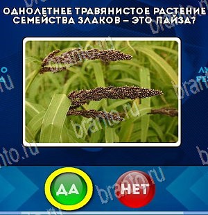 Да или Нет игра ответы в одноклассниках Уровень 5647