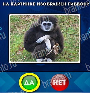 Да или Нет игра ответы Уровень 5653