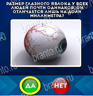 игра Да или Нет ответ на Уровень 5660