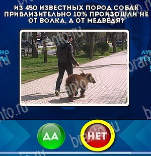 решебник на игру Да или Нет Уровень 5661