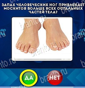 Да или Нет ответы в картинках Уровень 5666