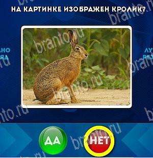 Решения на игру Да или Нет Уровень 5673
