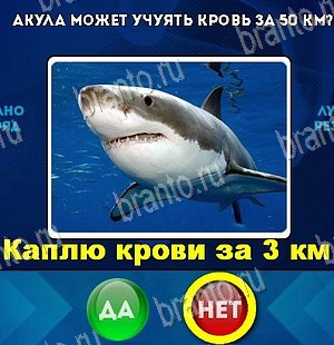 Да или Нет игра ответы в одноклассниках Уровень 5677