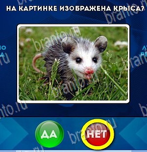 Одноклассники Да или Нет ответы Уровень 5678