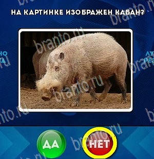 игра Да или Нет ответ на Уровень 5680