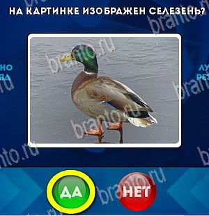 решебник на игру Да или Нет Уровень 5681