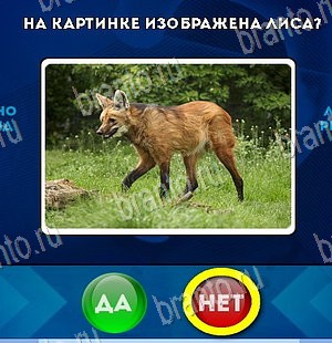 Да или Нет игра подсказки Уровень 5684