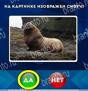Да или Нет игра помощь Уровень 5685