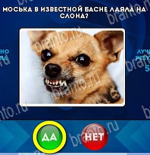 Да или Нет игра ответы Уровень 5693