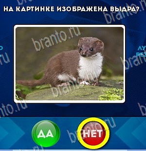 Да или Нет игра помощь Уровень 5695