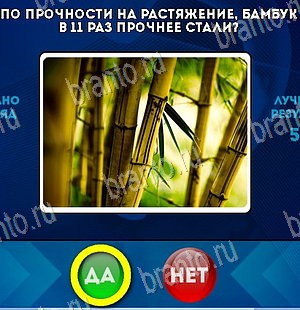 Да или Нет ответы в картинках Уровень 5696