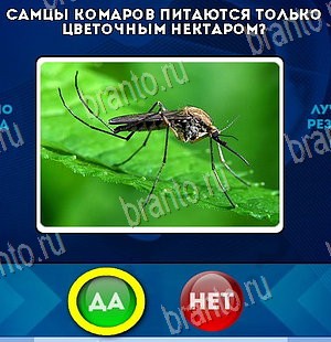 Помощь на игру ВК Да или Нет Уровень 5704