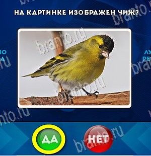 ответы на игру в одноклассниках Да или Нет Уровень 5706