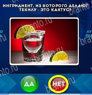 Да или Нет игра ответы в одноклассниках Уровень 5707