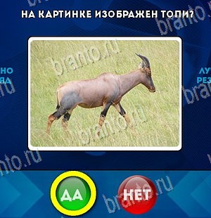 Одноклассники Да или Нет ответы Уровень 5708