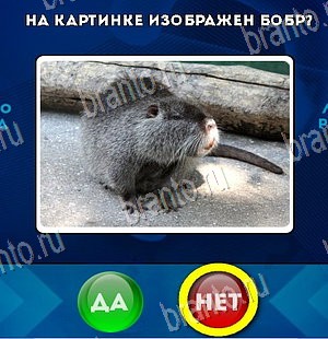 Да или Нет решения Уровень 5712